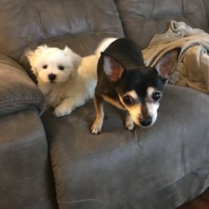 Meet your Posher, Jeff